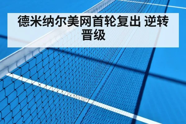 德米纳尔美网首轮复出 逆转晋级