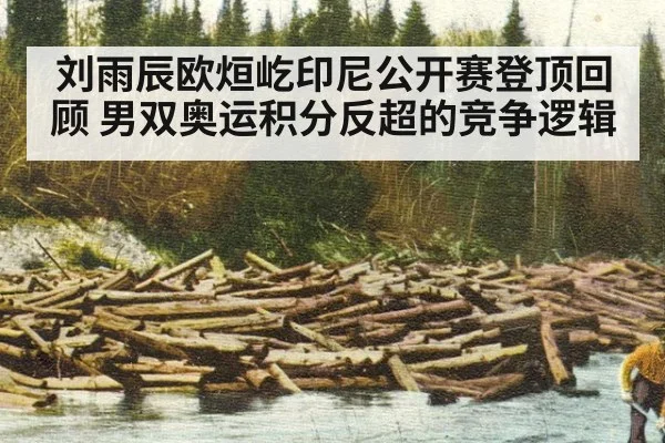 刘雨辰欧烜屹印尼公开赛登顶回顾 男双奥运积分反超的竞争逻辑