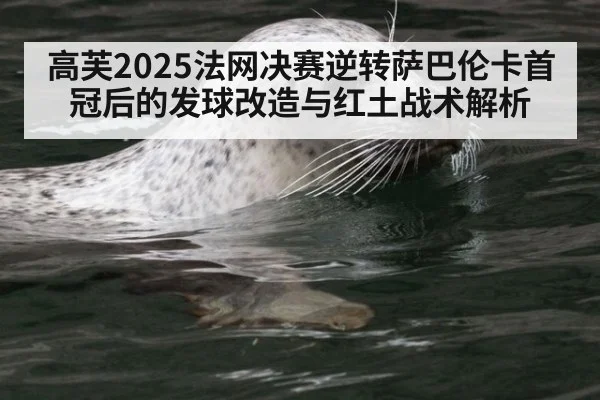 高芙2025法网决赛逆转萨巴伦卡首冠后的发球改造与红土战术解析